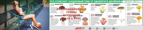гидра Алексеевка