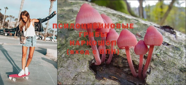 наркотики Алексин