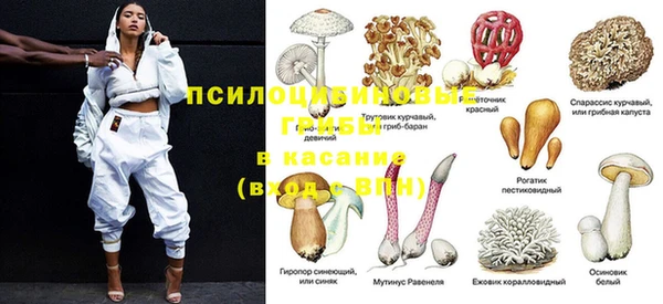 гидра Алексеевка