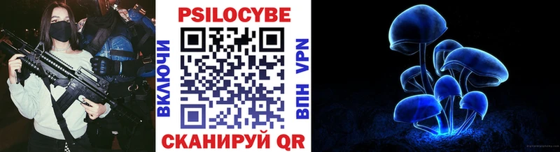 Псилоцибиновые грибы мицелий Палласовка